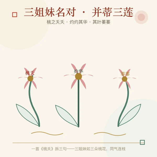三姐妹名对并蒂三莲